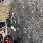 Stump removal