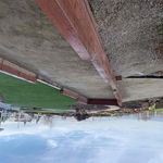 New Landscape
