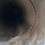 Dryer Vent Cleaning