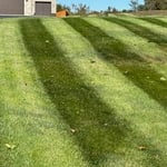 lawn