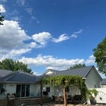 Backyard View
