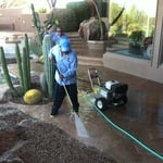 Cleaning Flagstone