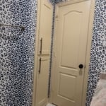 Fun Guest Bath