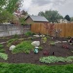 Willow Removal/Replanting