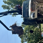 Grapple Truck1