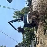 Grapple Truck2