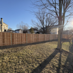 Cedar Privacy Fence