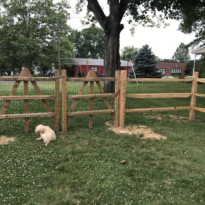 Split Rail Fence
