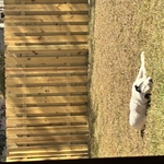Boatwright Fence 4