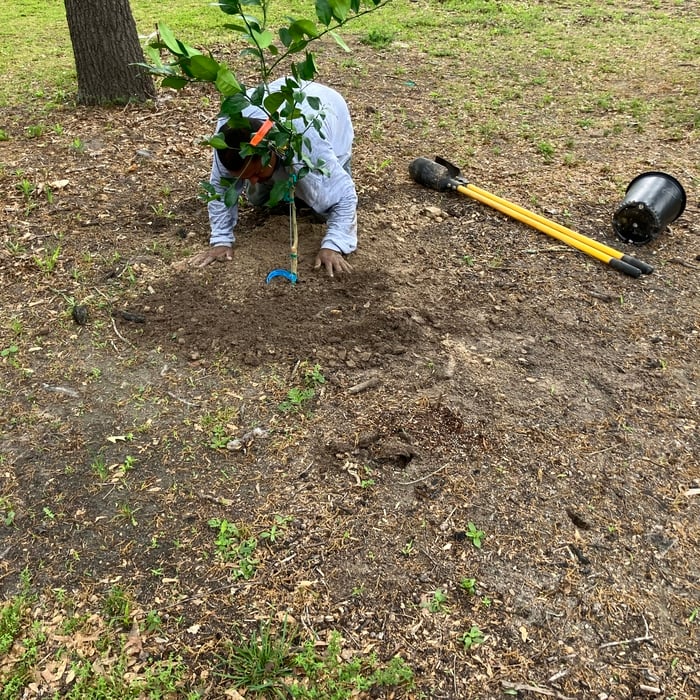 Yard Maintenance