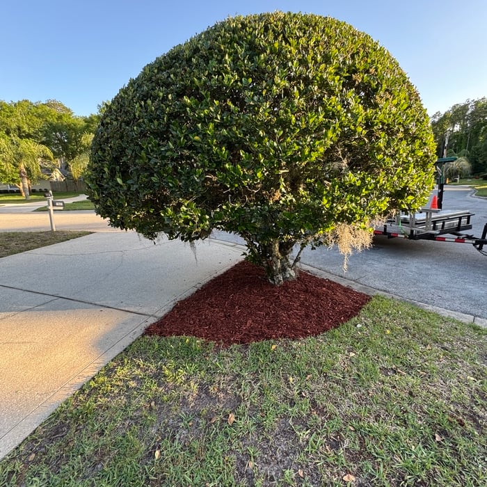 Mulch Installation