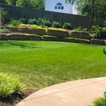 lawn mowing