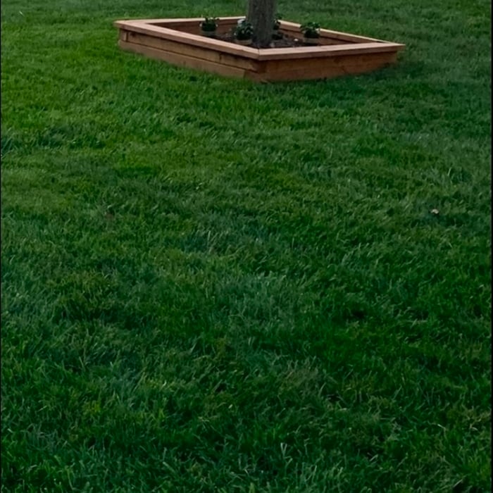 push mowing