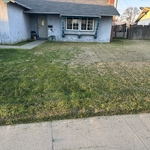 Lawn service