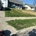 Lawn service