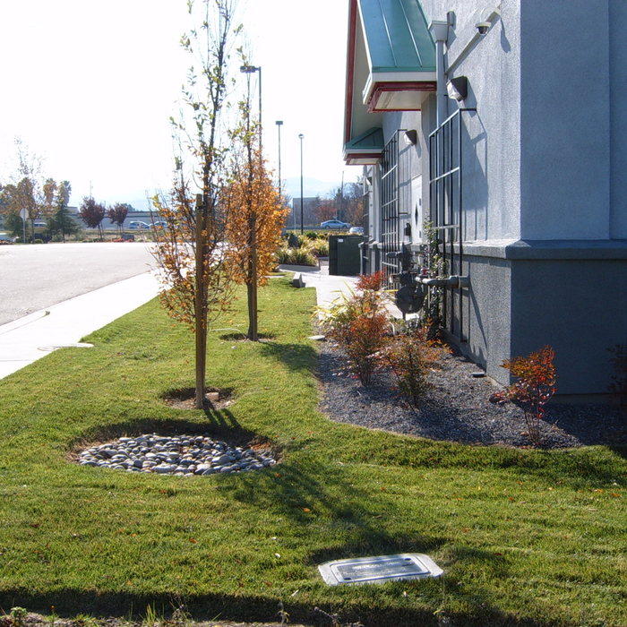Commercial Landscape