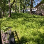 Lawn Makeover