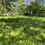 Lawn Makeover