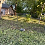 After Mow/Trim