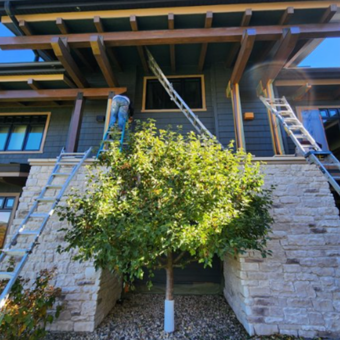 Exterior Painting