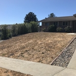 Front Yard Before