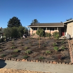 Front Yard Before