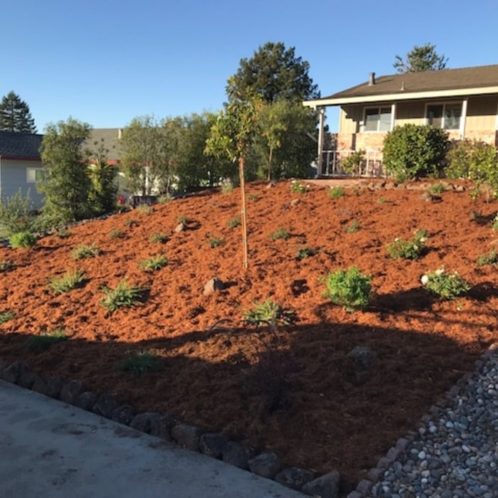 Front Yard After