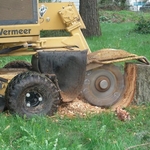 Tree work