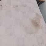 Mattress deep clean