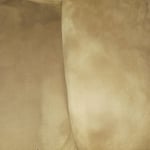 Couch shampooing