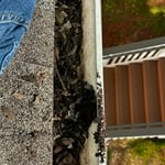 Gutter Cleaning