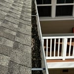Gutter Cleaning