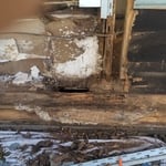 Rotted wood