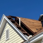 Shingle Roof Replacement