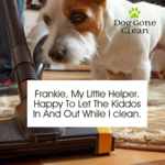 Frankie my helper