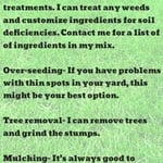 My home lawn