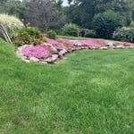 My home lawn