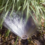 Sprayer