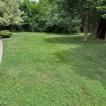 Residential Maintenance