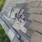 Wind damaged shingle