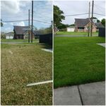 Yard 1