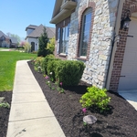 mulch