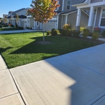 Small but beautiful lawn care maintenance.