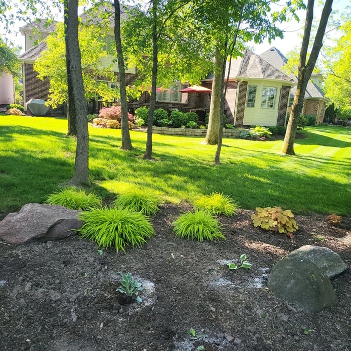 Beautiful landscaping work