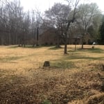Lawn renovationed