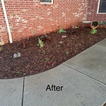 Flower bed maintenance