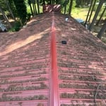 Roof/Gutter Cleaning