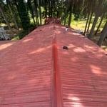 Roof/Gutter Cleaning