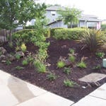 Lanscaping Projects