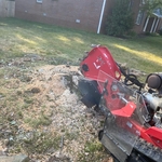 Stump removal